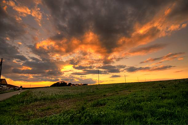 istock alongside the country road 119246690