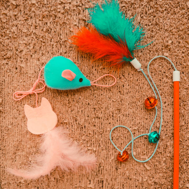 istock Cat toys on cat scrather background 1192468081