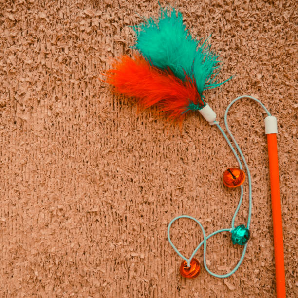 istock Cat toys on cat scrather background 1192469254