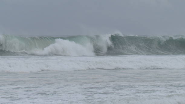 istock The day was cloudy, but the surf was great! 1192470131