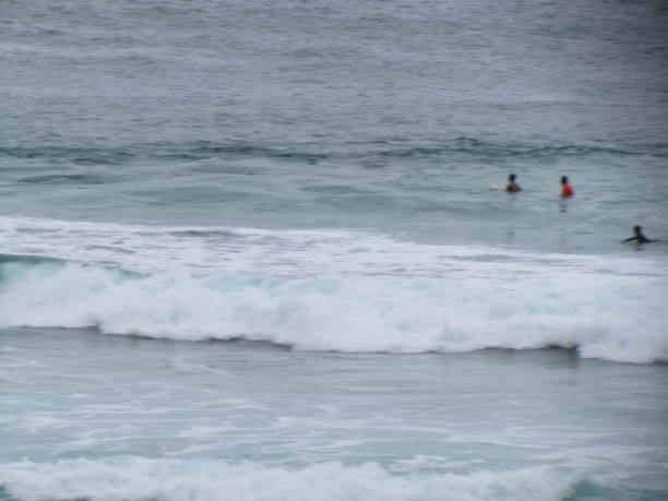 istock The day was cloudy, but the surf was great! 1192470329