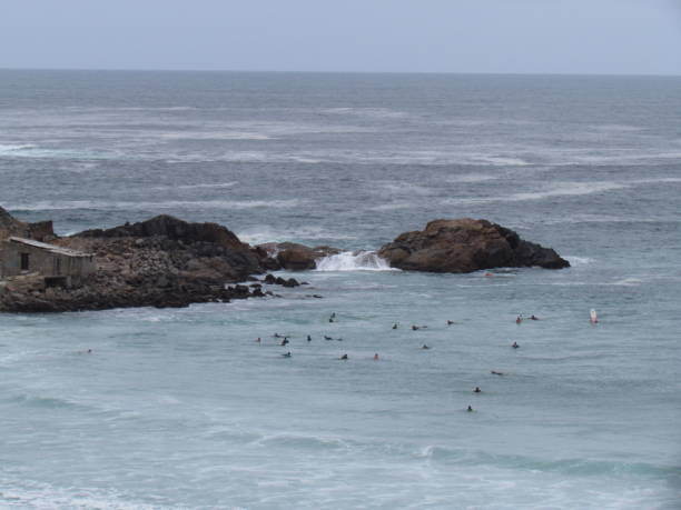 istock The day was cloudy, but the surf was great! 1192470373