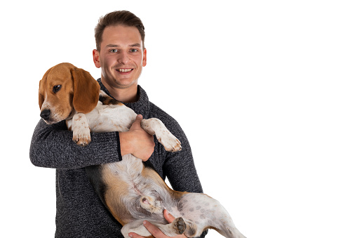 Young man holding a tri colored adorable beagle on isolated background