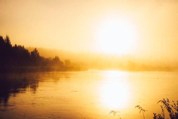 Morning by the river