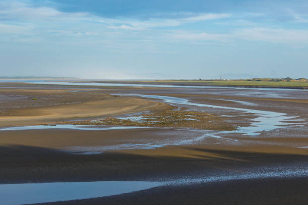 istock Sand Flats of Estuary Bed at Low Tide 1192471621