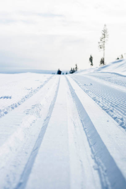 istock Freshly prepared cross country ski tracks, Trysil, Norway 1192473906