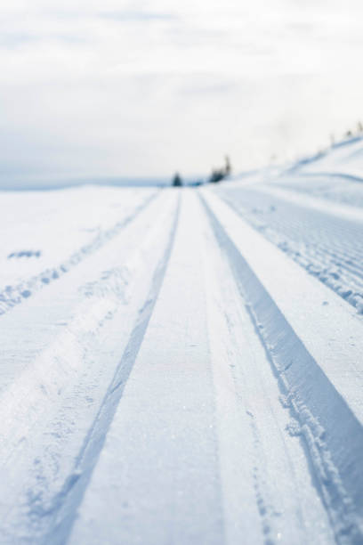 istock Freshly prepared cross country ski tracks, Trysil, Norway 1192474003