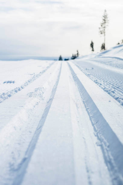 istock Freshly prepared cross country ski tracks, Trysil, Norway 1192474098