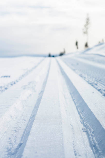istock Freshly prepared cross country ski tracks, Trysil, Norway 1192474115