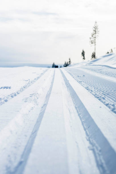 istock Freshly prepared cross country ski tracks, Trysil, Norway 1192474116