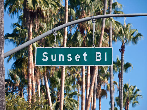 istock Sunset Blvd in Los Angeles 119247500
