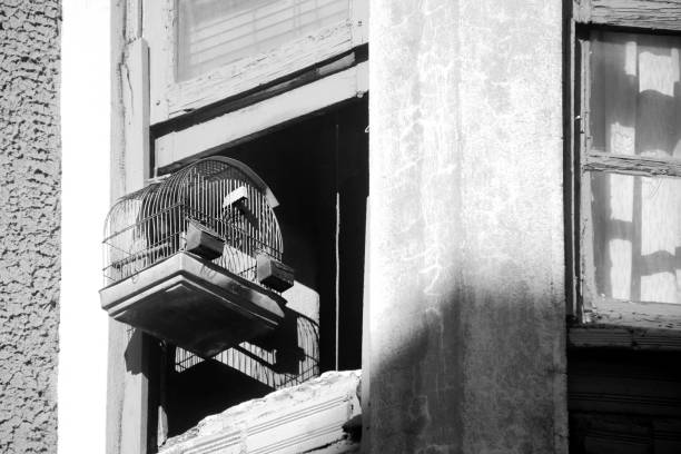 Window with birdcage in the sunlight. Black and white view, retro style. Galicia, Spain.