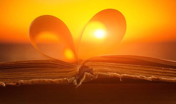 istock Opened book close up on sunset background 1192479428