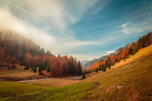 Autumn landscape of nature in European Alps, Slovenia. Photographed in medium format.