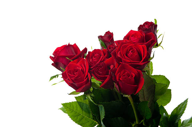 istock bunch of red roses with leaves 119248131