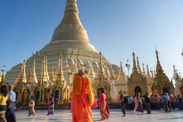 myanmar, yangon, novembre 2019, pagoda shwedagon, un monaco buddista maschio con teste rasate si trova di fronte alla pagoda centrale. - shwedagon pagoda immagine foto e immagini stock