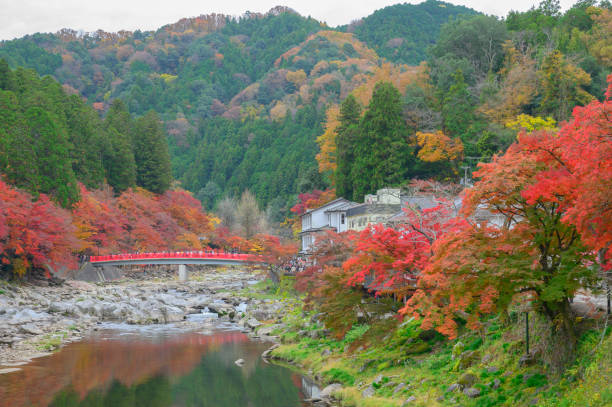 istock Where to see autumn leaves in Japan 1192482486