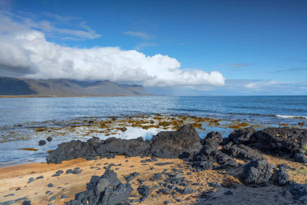istock the red beach of Budir, Iceland 1192482917