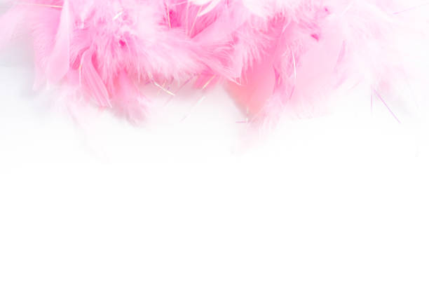 istock Pink feathers on a white nackground. 1192483009