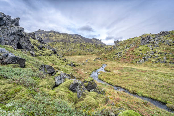istock moss covered Lava field in Iceland 1192484516