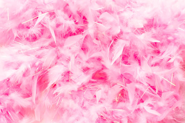 istock Pink feathers on a white nackground. 1192485479