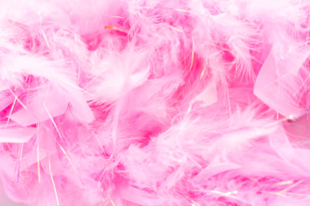 istock Pink feathers on a white nackground. 1192485535