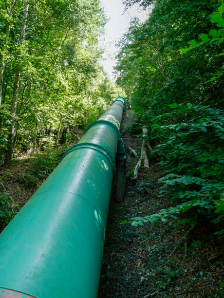istock Thick pipeline lying on the ground in the the wood. 1192487098