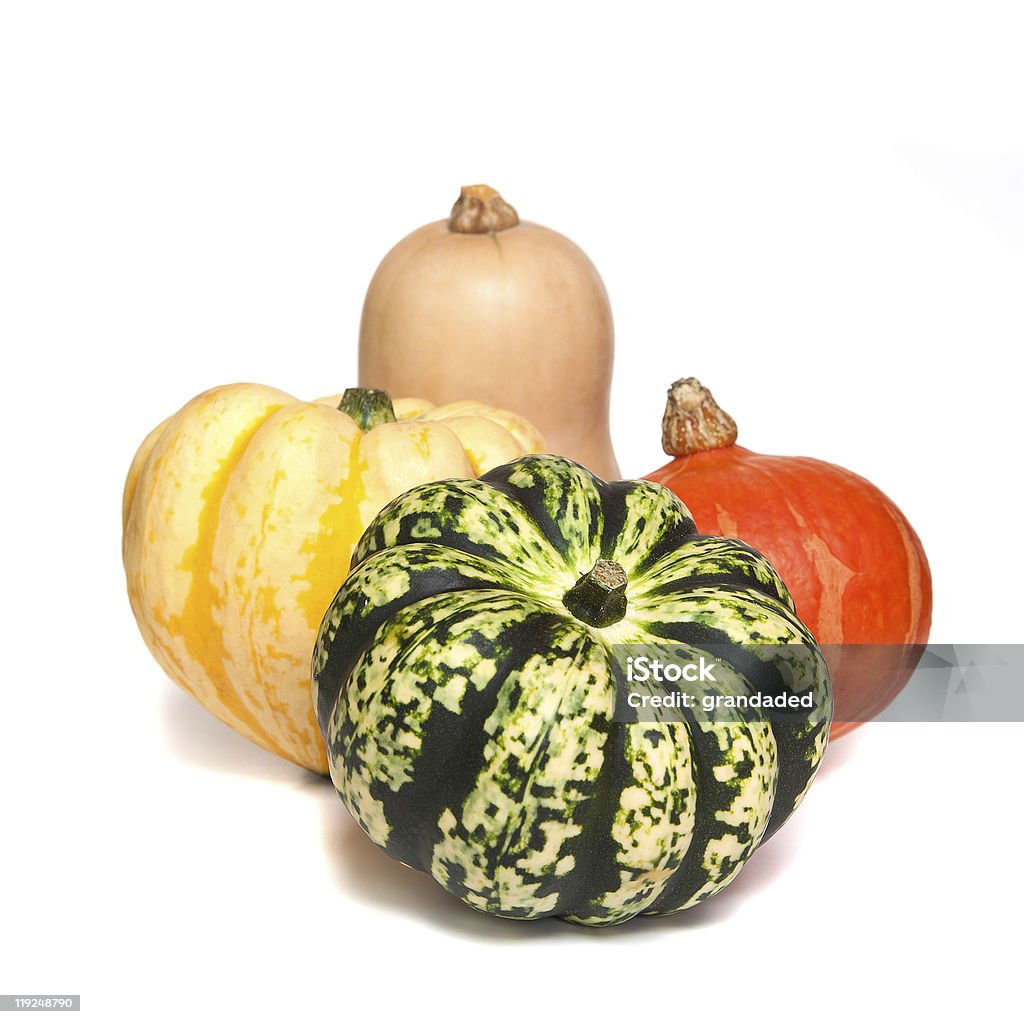 Seleção de deorative gourds ou squashes - Foto de stock de Abóbora royalty-free