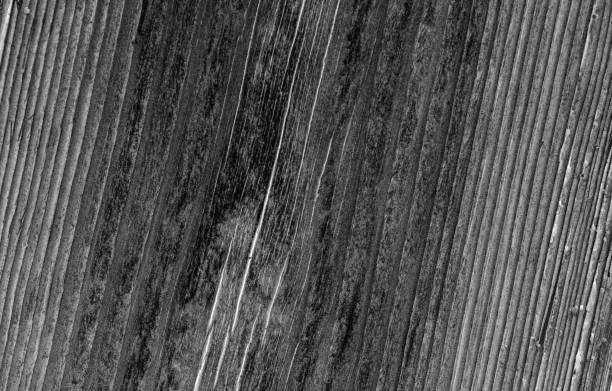 istock texture of a gray  board 1192490269