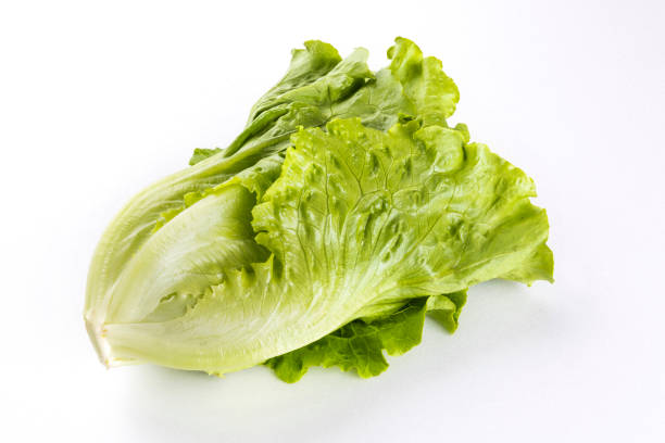 istock fresh green lettuce isolated on a white background 1192494131