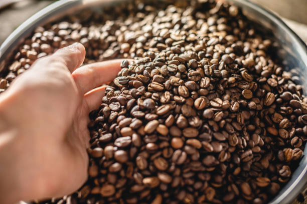 istock Hand holding freshly roasted aromatic coffee beans. Coffee background with space for text 1192503915