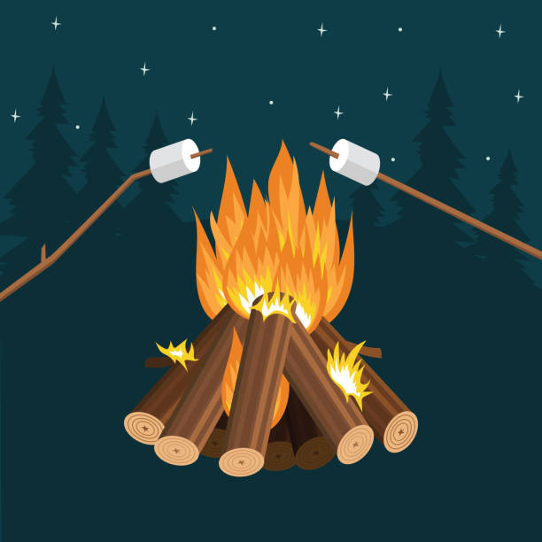 ilustrações de stock, clip art, desenhos animados e ícones de frying marshmallow on sticks by the fire and campfire flame. - camping campfire boy scout girl scout
