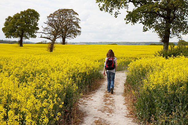 femme active à pied à travers un champ de colza jaune - hampshire photos et images de collection