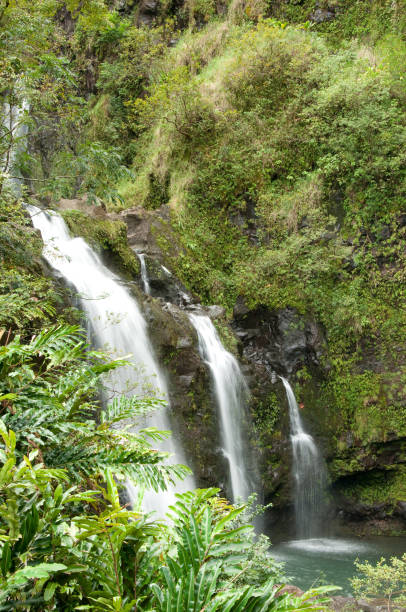istock Road to Hana 1192507329
