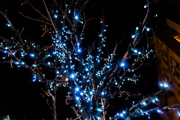 istock Decorations trees, white LED fairy lights. 1192508989