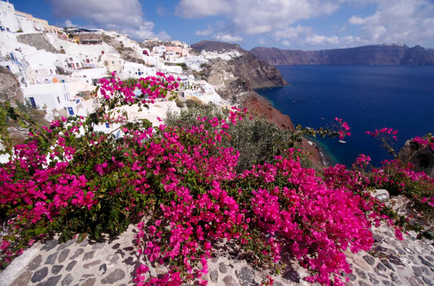 Blue domes of Oia in Santorini. 