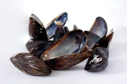 Group of closed and empty open mussels shells on white background. Selective focus.