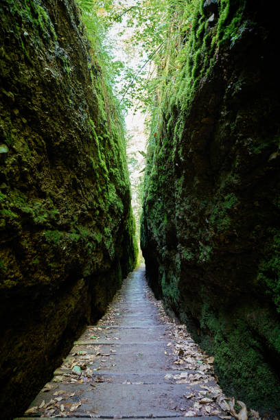 istock Dragon Gorge near Eisenach 1192511300