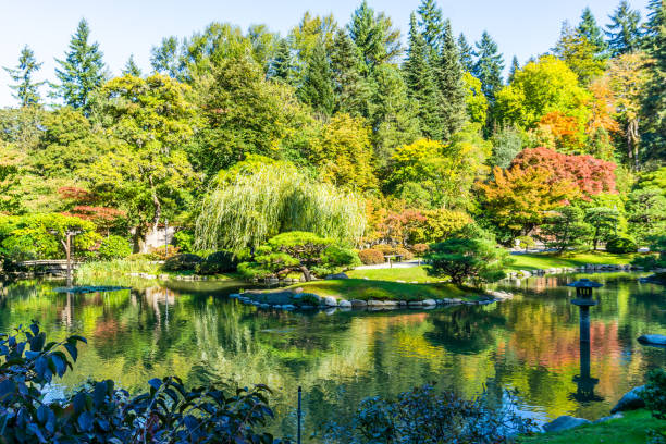 istock Seattle Garden In Autumn 10 1192511474