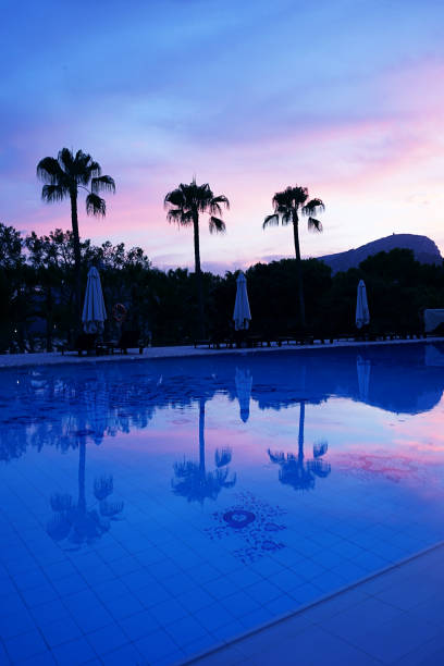 istock Gradient colors palette in view palms and pool at sunset time. 1192511527
