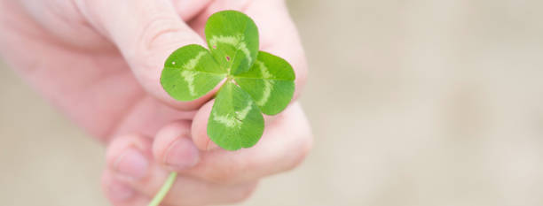 istock Green our leaf clover in a man's hand. 1192514238