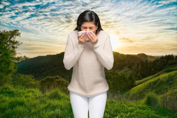 eine person / taille nach oben / frontansicht der schönen schwarzen haare lateinamerikanische und hispanische ethnische frauen / junge frauen vor dem gebirge / natur / nicht-urbane szene / landschaften - natur, die im freien trägt pullover / warme kleidu - non urban scene nature rural scene outdoors stock-fotos und bilder