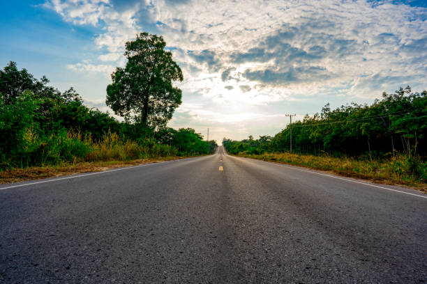 istock Long road street on forest and sky background 1192525308