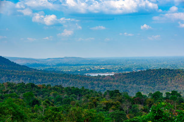 Forest on hills and blue sky and cloud landscape