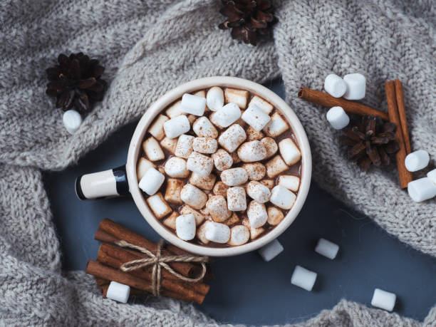 istock Hot chocolate or cocoa with marshmallows in a cinnamon mug. Warm knitted scarf 1192525756