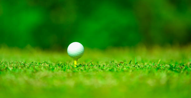 istock Golf ball on tee for tee off on blurred background 1192526430