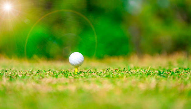 istock Golf ball on tee for tee off on blurred background 1192526444