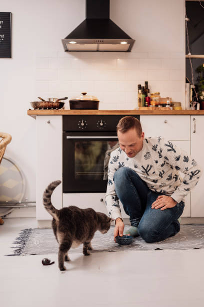 istock Man And his cat indoors in kitchen 1192530747