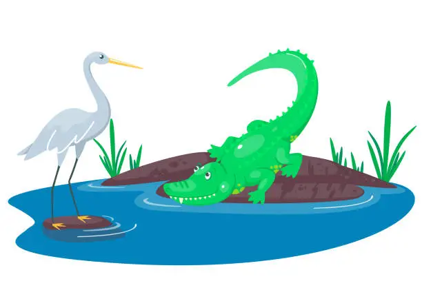 Vector illustration of Crocodile hunting on the heron  in the lake. Happy cute cartoon alligator and bird in the blue swamp or pond. Green reptile in the water of a river. Vector illustration for kids.