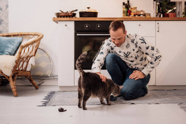 istock Man And his cat indoors in kitchen 1192531266